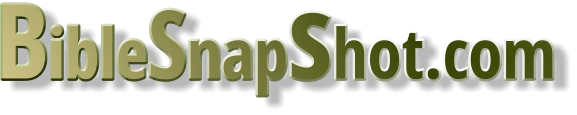 BibleSnapshot.com